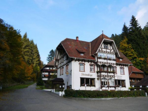 Отель Hotel B&B Steinasäge  Бондорф